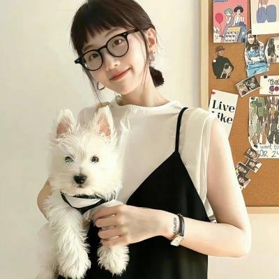 将军在上之极乐净土